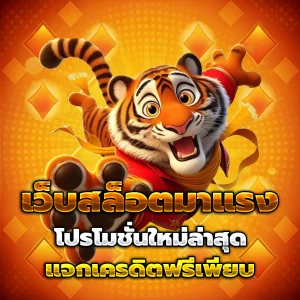 supreme888 แตกง่าย